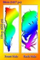 Custom Made Dakimakura Hugging Body Pillow Cover