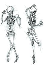 The Skeleton Dakimakura of Dakimakura Hugging Body Pillow Cover
