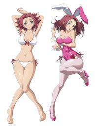 Code Geass Dakimakura Hugging Body Pillow Cover
