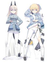 Strike Witches Dakimakura Hugging Body Pillow Cover