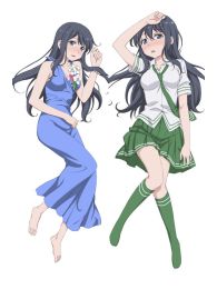 Love Lab Dakimakura Hugging Pillow Cover