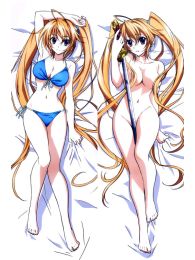 High School DXD Dakimakura Hugging Pillow Cover