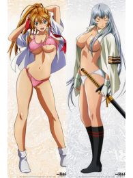 Ikki Tousen Dakimakura Hugging Body Pillow Cover